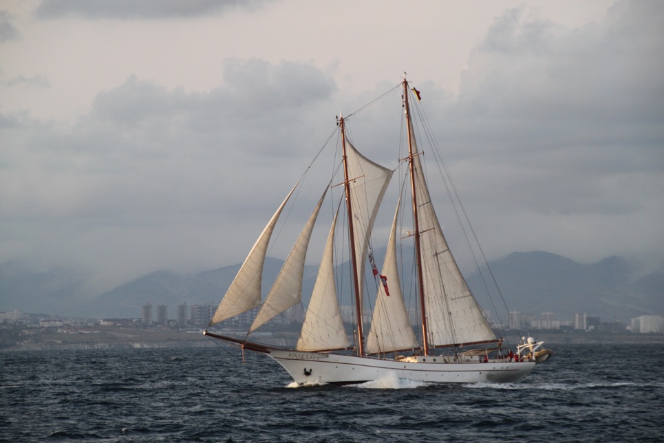 Adornate crossing the line at start of Race Two