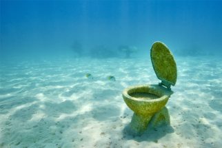 The Secrets of Sail Training: How to Use Marine Toilets