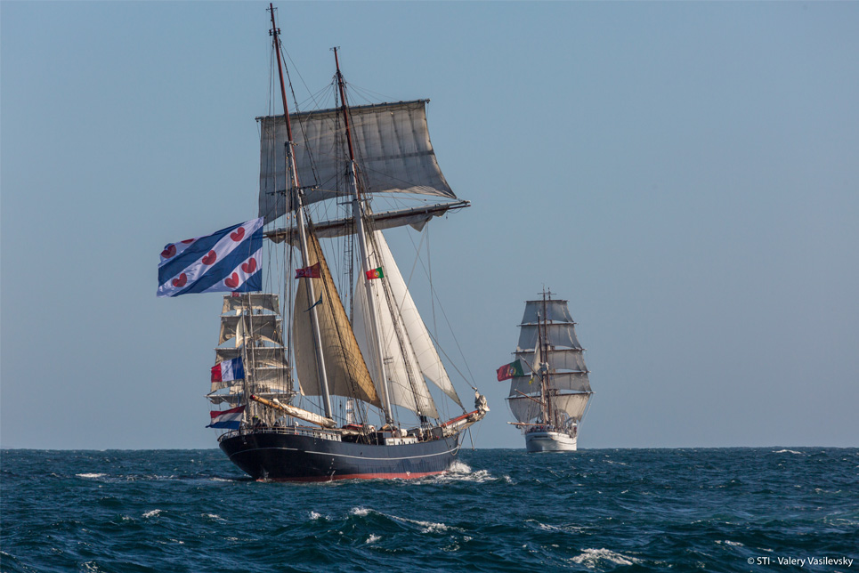 RDV Race Report Wylde Swan