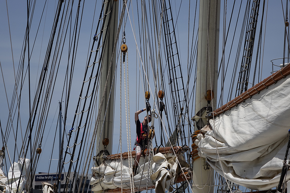 blue clipper rdv 2017