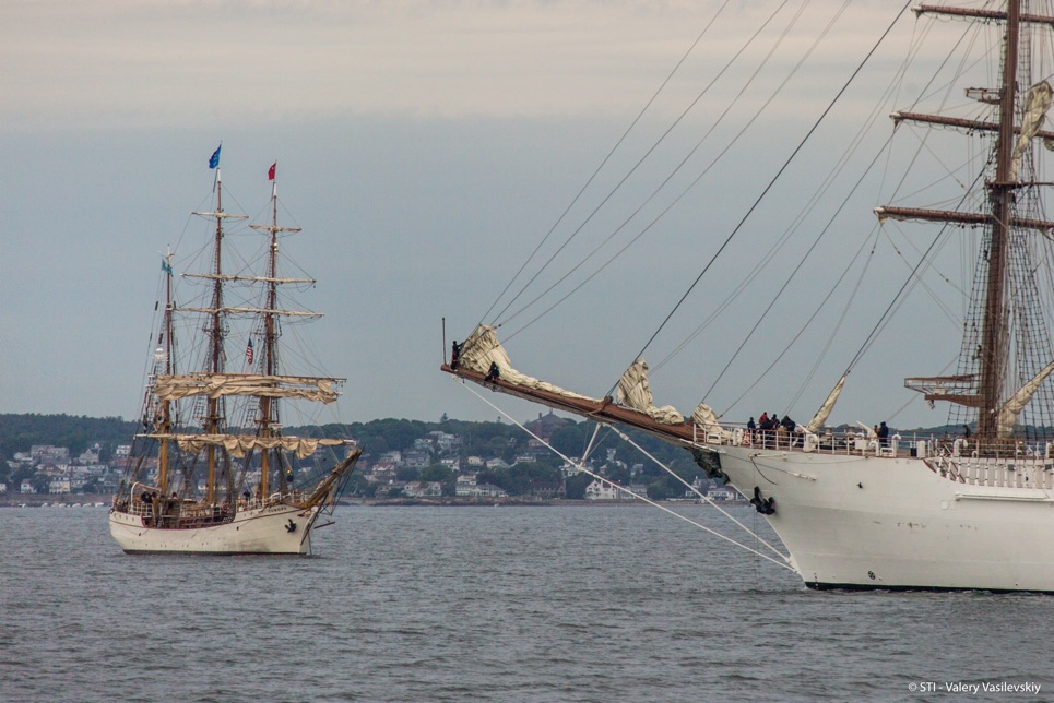 Tall Ships Grand Parade of Sail in Boston.