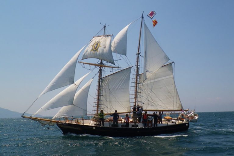 tall ship ami